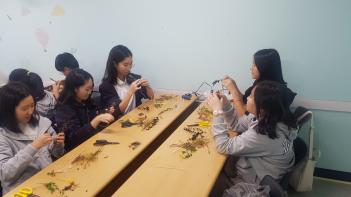 2019�г⵵ 1�г� ������ ����ü��Ȱ�� ÷���̹���